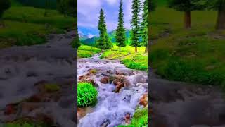 relaxing music piano sleeprelaxing music piano violin flute [upl. by Nester]