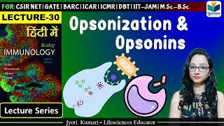 Immunology  Opsonization amp Opsonin  Lecture 30 [upl. by Yssej]