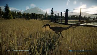 Coelophysis Vs Compsognathus  Jurassic World Evolution 2  Ps4 [upl. by Newfeld470]