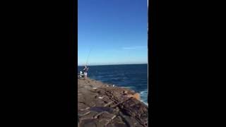 Wollongong hill 60 fishing [upl. by Idonna89]