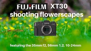 Shooting Flowerscapes with the Fuji XT30 35mm f2 1024mm 56mm 12 [upl. by Kroo160]