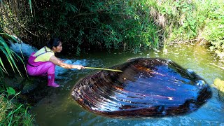 The sound kept coming from the water it turned out to be a big river clam [upl. by Havard]