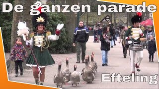 Ganzen parade Efteling rabobank ledendagen 2016 [upl. by Ivie]