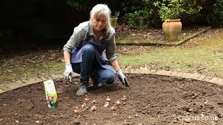 How to Bulb planting [upl. by Dustie]