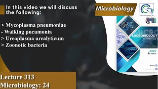 Mycoplasma pneumoniae  Walking pneumonia  Ureaplasma urealyticum  Zoonotic bacteria [upl. by Essiralc717]