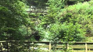 Triberger Wasserfälle im Schwarzwald  Natur  Black Forest [upl. by Jacobsohn]