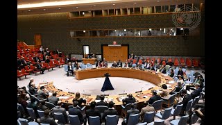 CTED briefs Security Council about the 18th report of the SecretaryGeneral on the threat of ISIL [upl. by Verena]