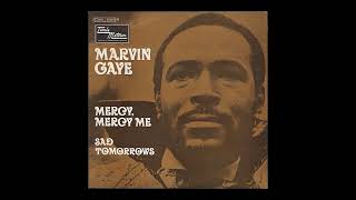 Marvin Gaye  Mercy Mercy Me Acapella [upl. by Ibbetson]