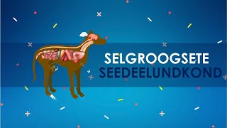 Selgroogsete loomade seedeelundkond [upl. by Urana]