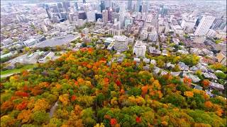 Aerial view Mount Royal Park MontRoyal  Montreal Quebec  Canada by drone at Fall [upl. by Ahselaf]