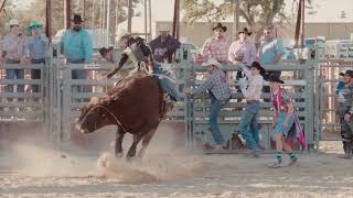 Cowboy Mardi Gras Bull Riding 2022 [upl. by Rawdon]