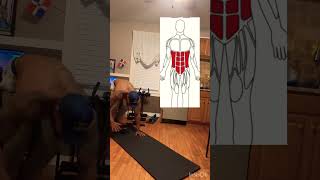 Best exercisepush upshouldertriceps and abspushups should ertricepsworkout absworkoutpayday [upl. by Lawlor]