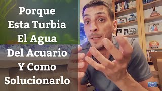 🔵 Porque Está Turbia Blanquecina O Amarilla El Agua De Nuestro Acuario Y Como Solucionarlo [upl. by Ahsieket]