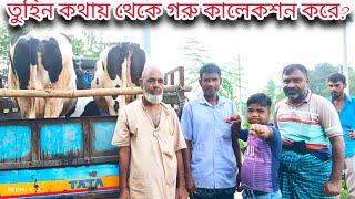 তুহিন ভাই কোথায় থেকে গরু কালেকশন করেন  জানতে ফুল ভিডিওটা দেখুন [upl. by Reniti]