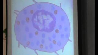 Dr Dalia C TFree cells 152 Part 1 [upl. by Ash]