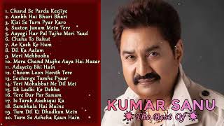 Hindi Melody Songs  Superhit Hindi Song  kumar sanu alka yagnik amp udit narayan  musicalmasti [upl. by Jo Ann]