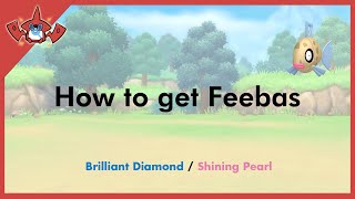 How to get Feebas in Pokemon Brilliant Diamond amp Shining Pearl 349 [upl. by Edy369]