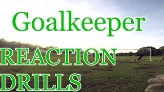 Goalkeeper Training Goalie Reaction Drills [upl. by Romola]