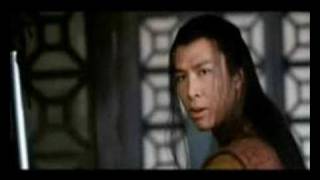 Donnie Yen vs Jet Li Mortal Hero [upl. by Enelia]