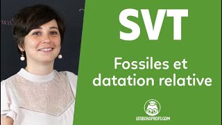 Fossiles et datation relative  SVT  Terminale  Les Bons Profs [upl. by Dianthe287]