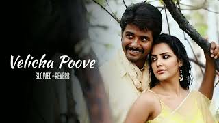 Velicha Poove  Edhir Neechal  Anirudh Ravichandhar  Sivakarthikeyan  SlowedReverb [upl. by Abbotson]