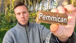 Pemmican Recipe  Best Carnivore Survival Food [upl. by Notkcorb]