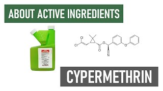 What is Cypermethrin Long Lasting Residual Insecticides [upl. by Ahseym]