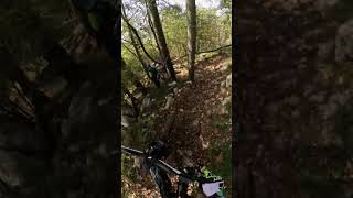 WHAT A TRAIL🤩🚀 mtb gopro downhill mountainbike enduromtb [upl. by Kele]