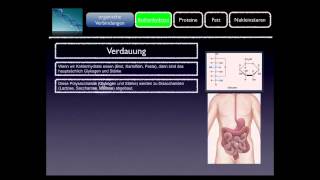 Basiskurs BiochemieChemie Kohlenhydrate Teil 710 [upl. by Housum]