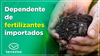 Entenda por que o Brasil importa fertilizantes e o que isso acarreta para o agro brasileiro [upl. by Ellehsram37]