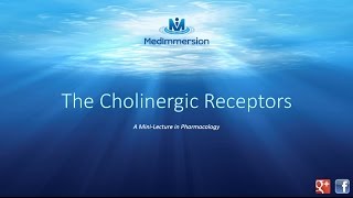 The Cholinergic Receptors [upl. by Saxen]