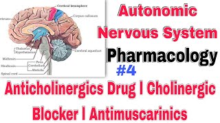 anticholinergic drug classification in Hindi। Cholinergic Blocker Antimuscarinics drugs [upl. by Nnail]