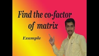 How to solve co factor examples explain in simple way [upl. by Avril]