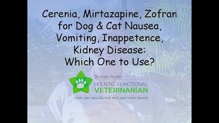 Cerenia Mirtazapine Zofran Dog amp Cat Nausea Vomiting Inappetence Kidney Disease Which to Use [upl. by Mumford]