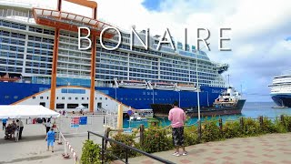 Walking Around Bonaire Cruise Port [upl. by Arehsat]