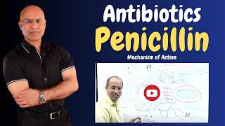 Penicillin  Antibiotics  Mechanism of Action  Pharmacology💊 [upl. by Nikolaus]