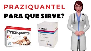 PRAZIQUANTEL que es y para que sirve praziquantel como usar praziquantel 600mg tablets [upl. by Rostand]