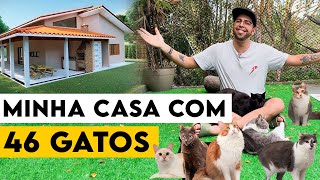 VIVENDO COM 46 GATOS  O PAI DOS GATOS [upl. by Einnalem641]