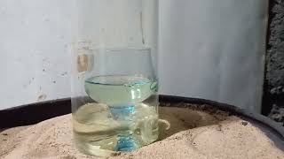 Выпариваю самодельную азотную кислоту Warning Dont Make Nitric Acid Without Watching This First [upl. by Maye316]