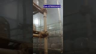 fogger system working mushroom farm bpchaudharimushroomfarmingmushroomgrowingagriculture [upl. by Strickland]