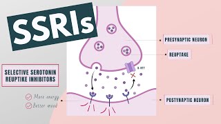 Selective Serotonin Reuptake Inhibitors SSRIs  Indications mechanism side effects [upl. by Einnaej]