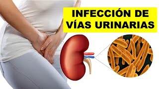 INFECCIÓN de VÍAS URINARIAS  Síntomas Causas y Tratamiento ¿Cómo CURAR las INFECCIONES URINARIAS [upl. by Hiamerej]