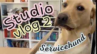 Studio vlog 2 with a service dog [upl. by Allister]