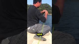 benda apa ini kirakira ya gais  fishing mancing [upl. by Slaughter855]