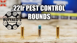 Which 22lr SHOTSHELL is best Pest Control Showdown [upl. by Fawn470]