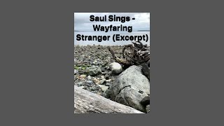 Saul Sings  “Wayfaring Stranger” Excerpt [upl. by Celina]