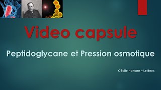 Video Capsule  Peptidoglycane et Pression osmotique  Expériences utilisant le Lysozyme [upl. by Yunick]