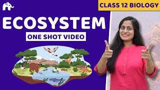 Ecosystem Class 12 One Shot  Biology NCERT Chapter 12  CBSE NEET [upl. by Ingemar]