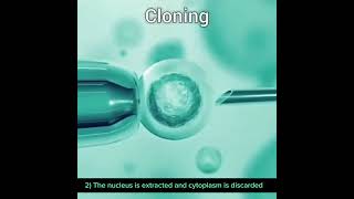 DNA Cloning 3D animation class12 [upl. by Nimzaj]