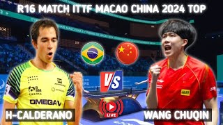 Wang Chuqin vs Hugo Calderano R16 ITTF Macao 2024 [upl. by Ymer]